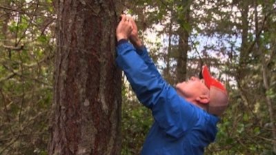 Treetop Cat Rescue Season 1 Episode 11