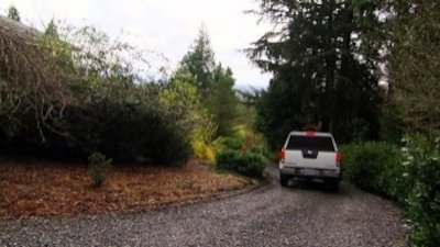 Treetop Cat Rescue Season 1 Episode 12