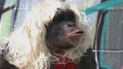 MANswers Season 2 Episode 10