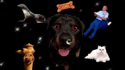 MANswers Season 3 Episode 3