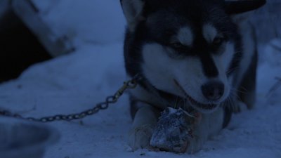 The Last Alaskans Season 3 Episode 9