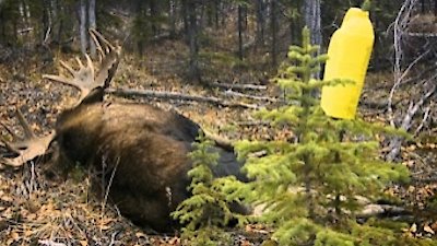 The Last Alaskans Season 2 Episode 3