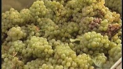 How It's Made Season 1 Episode 16