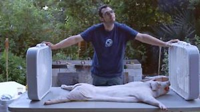 BBQ with Franklin Season 1 Episode 3