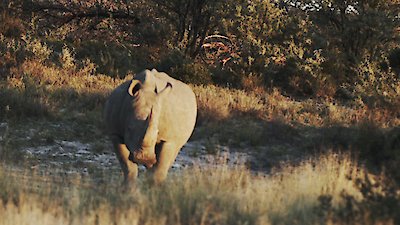 Alone Season 12 Episode 6