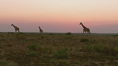 Alone Season 12 Episode 9