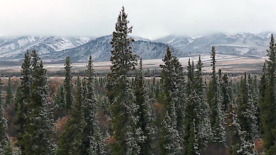 Alone Season 13 Episode 10