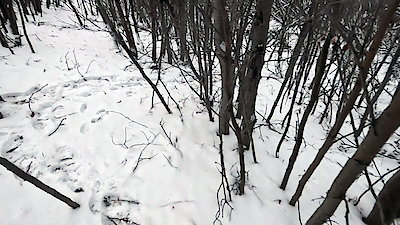 Alone Season 13 Episode 11