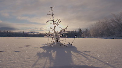 Alone Season 13 Episode 13