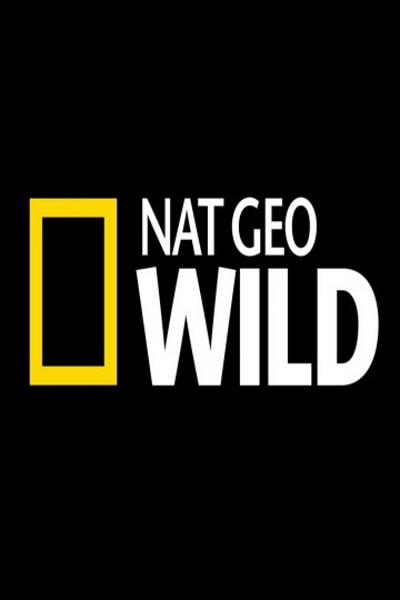 Watch National Geographic: Wild Streaming Online - Yidio