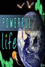 Powerful Life