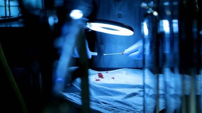 Cold Blood Season 4 Episode 2