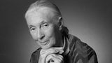 Jane Goodall