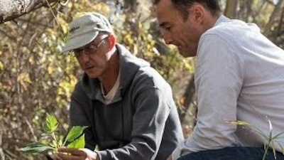 Watt's World Season 1 Episode 13