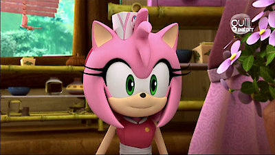 Hedgehogs Can't Swim: Sonic Boom, Episode 1.27: Chez Amy