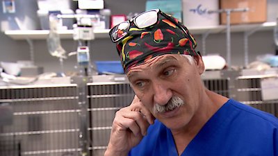 Dr. Jeff: Rocky Mountain Vet Season 3 Episode 23