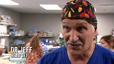 Dr. Jeff: Rocky Mountain Vet Season 3 Episode 24