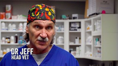 Dr. Jeff: Rocky Mountain Vet Season 4 Episode 2