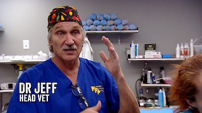 Dr. Jeff: Rocky Mountain Vet Season 4 Episode 3