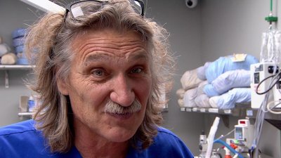 Dr. Jeff: Rocky Mountain Vet Season 6 Episode 2
