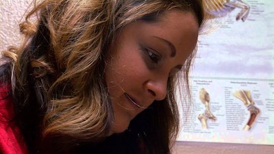 Dr. Jeff: Rocky Mountain Vet Season 1 Episode 3