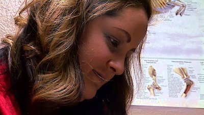 Dr. Jeff: Rocky Mountain Vet Season 1 Episode 2