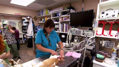 Dr. Jeff: Rocky Mountain Vet Season 1 Episode 4