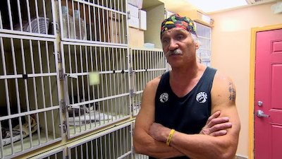 Dr. Jeff: Rocky Mountain Vet Season 1 Episode 6