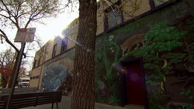 Dr. Jeff: Rocky Mountain Vet Season 1 Episode 7