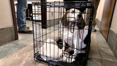 Dr. Jeff: Rocky Mountain Vet Season 1 Episode 10