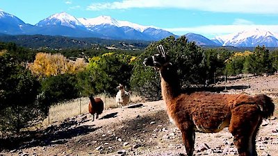 Dr. Jeff: Rocky Mountain Vet Season 2 Episode 1