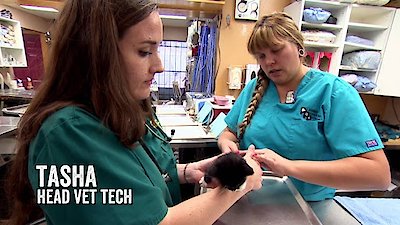 Dr. Jeff: Rocky Mountain Vet Season 2 Episode 3