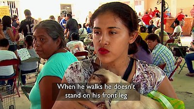 Dr. Jeff: Rocky Mountain Vet Season 2 Episode 6