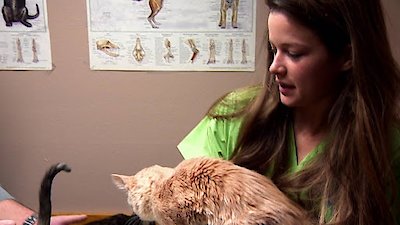 Dr. Jeff: Rocky Mountain Vet Season 2 Episode 7