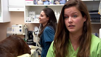 Dr. Jeff: Rocky Mountain Vet Season 2 Episode 10