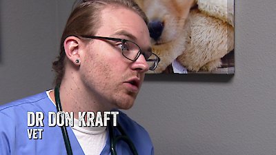 Dr. Jeff: Rocky Mountain Vet Season 3 Episode 2