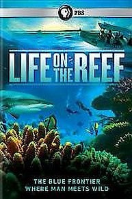 Life on the Reef