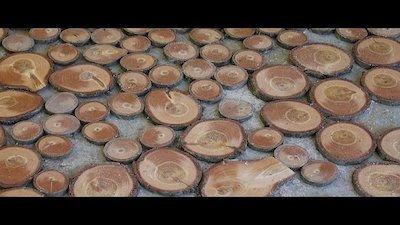 Tiny House, Big Living Season 5 Episode 10