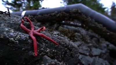 Port Protection Season 6 Episode 6