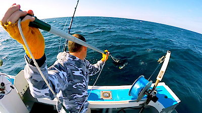 Wicked Tuna: Outer Banks Season 1 Episode 8