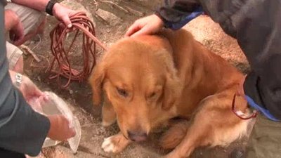 Callout: Search And Rescue Season 2 Episode 4