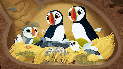 Puffin Rock Season 2 Episode 14