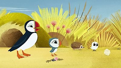 Puffin Rock Season 2 Episode 12