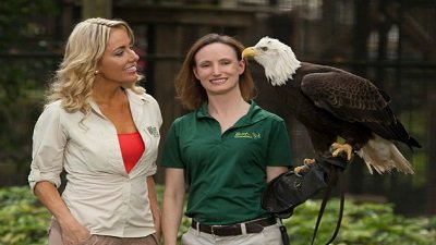 The Wildlife Docs Season 4 Episode 18