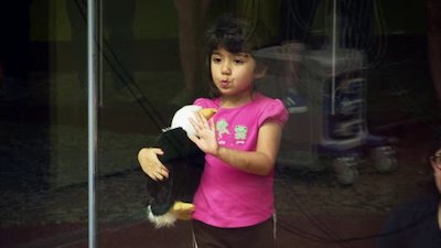 The Wildlife Docs Season 4 Episode 22