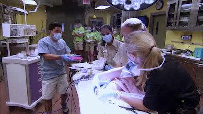 The Wildlife Docs Season 4 Episode 23