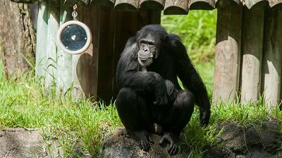 The Wildlife Docs Season 5 Episode 2