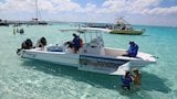 Saving Stingray City