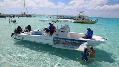 The Wildlife Docs Season 5 Episode 4