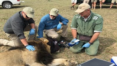 The Wildlife Docs Season 5 Episode 5